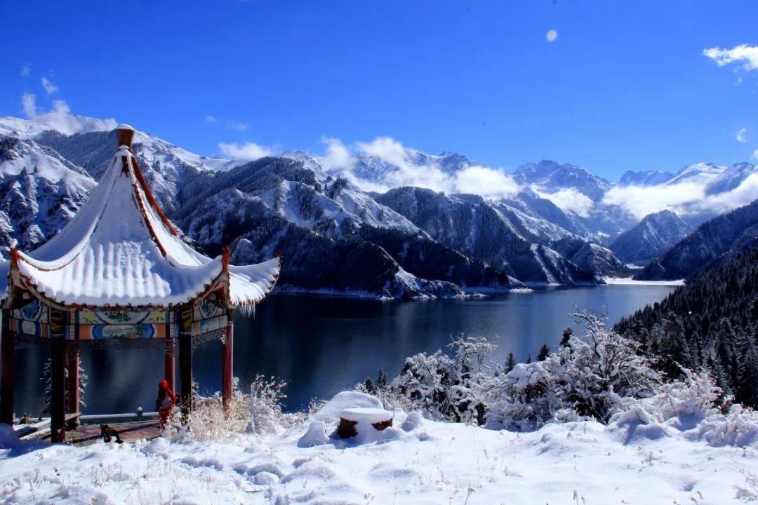 机智问答-解答你的问题-欠银行钱没能力还会坐牢吗